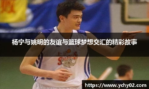 杨宁与姚明的友谊与篮球梦想交汇的精彩故事