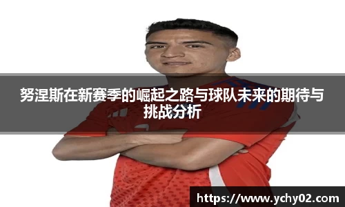 努涅斯在新赛季的崛起之路与球队未来的期待与挑战分析